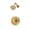 Brushed Bronze, variant on Symmons 589115TRM Braston Shower Only Trim Package - Chrome
