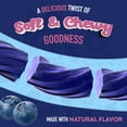 thumbnail image 4 of Wiley Wallaby Licorice 10 Ounce Classic Gourmet Soft & Chewy Australian Blueberry Pomegranate Candy Twists, 3 Pack, 4 of 7