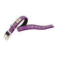 thumbnail image 1 of PACC Pets 75167919 Dual Cf15 & 35 Colors 0. 63 inch Dog Collar, Purple, 1 of 1
