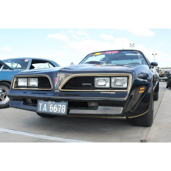 Wall Art Impressions 36x24in Photo Paper 1978 Pontiac Firebird Trans Am