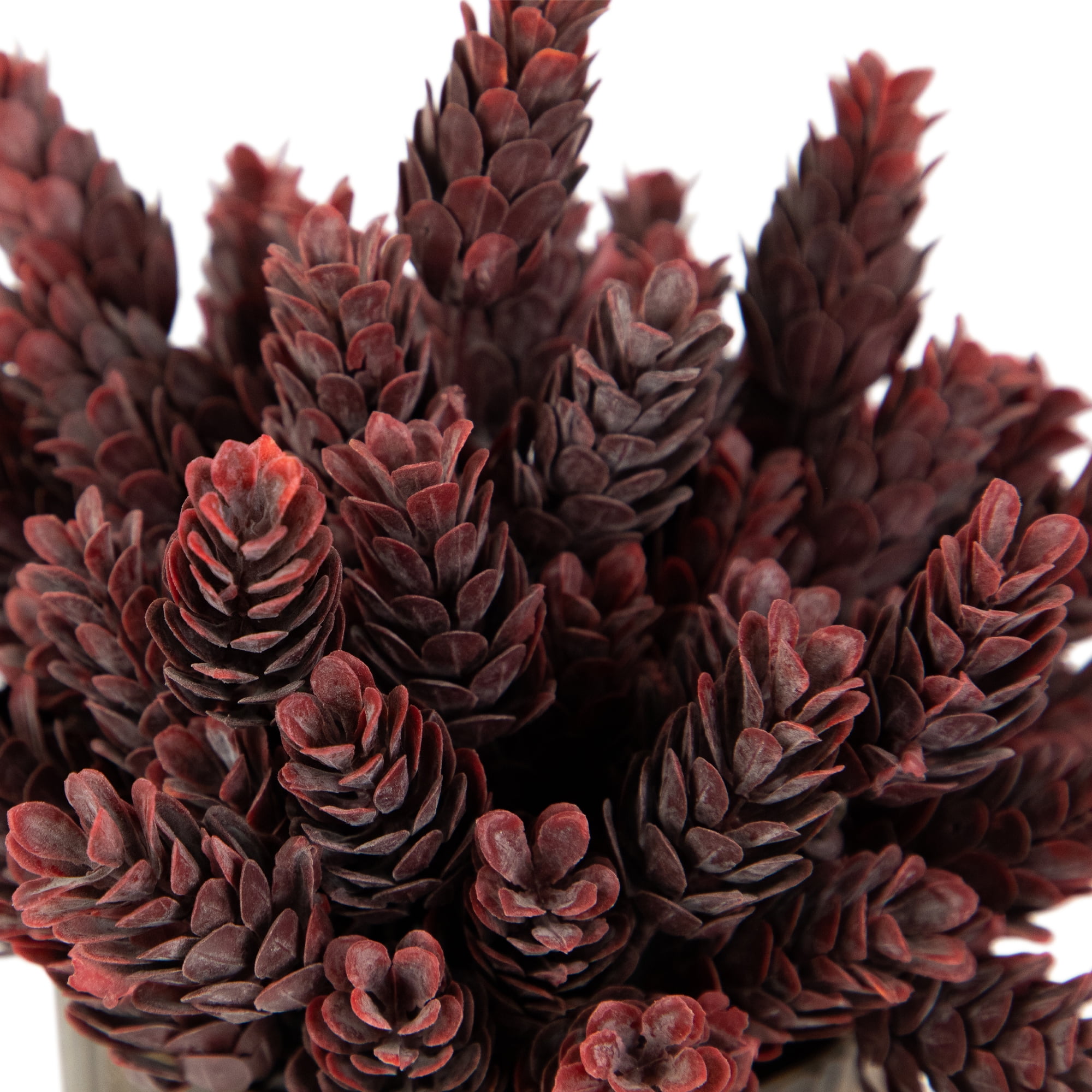 Northlight Wild Flower Artificial Plant in a Textured Lined Pot - 8" - Burgundy Red