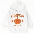 thumbnail image 6 of Pumpkin Season Star Distressed - Toddler Hoodie, 6 of 9