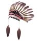 thumbnail image 1 of Tocado de plumas para hombres y mujeres, sombrero de jefe para espectáculos, juegos de rol, fiestas y presentaciones. Rosa, 1 of 8
