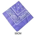 thumbnail image 2 of DELESYS Paisley Bandanas Multi Colored Set Cowboy Bandana Head Scarf Double Sided, 55cm, 2 of 3