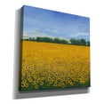 thumbnail image 2 of Epic Graffiti 'Field of Sunflowers II' by Tim O'Toole, Canvas Wall Art, 26"x26", 2 of 2