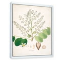thumbnail image 5 of Ancient Botanicals XVI 30 in x 40 in Framed Painting Canvas Art Print, by Designart, 5 of 5