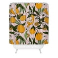 thumbnail image 2 of Society6 Marta Barragan Camarasa Succulent Sweets Oranges Shower Curtain 71" x 74", 2 of 3