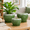 Blackish Green-10+8+6 Inch, variant on Rainbow 10+8+6 Inch Ceramic Indoor Plant Pots with Drainage and Saucers