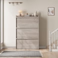 thumbnail image 2 of Studyset Shoe Cabinet with 2 Flip Drawers, Wooden Shoe Organizer Cabinet with Adjustable Shelf, Shoe Storage for Entryway, Hidden Shoe Cabinet for Hallway, Living Room, 2 of 6