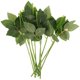 thumbnail image 1 of AURARMLET 10Ud Para Flores Artificiales Resistentes Y Moldeables En Manualidades Y Eventos, 1 of 7