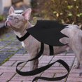 thumbnail image 1 of OUNONA Pet Collar Leash Button Color Random Prevent Pulling and Suffocating Running 1Pcs, 1 of 6