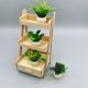 thumbnail image 2 of plantes En Pot Pour Maison De Poupe 4pz Dcorations De Pots De Fleurs Miniatures Dcorations De Conte De Fes Miniatures Maison De Poupe, Intrieur, B, 2 of 5