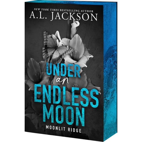 Pre-Owned Under an Endless Moon (Paperback) 1649379463 9781649379467