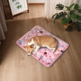 thumbnail image 6 of CozeLy Cooling Mat for Dogs Water Filled Printed Pet Cooling Mat Indoor Outdoor Summer Cat Cooling Pad Durable Comfortable Bed Mat, 6 of 6