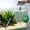Clear B, variant on Manual Aquarium Gravel Cleaner Vacuum, 82.68 Inch Extra Long Siphon Hose, Multifunctional Water Changer Fish Waste Remover for Tanks Under 15.75in