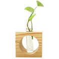 thumbnail image 1 of Coofit Plant Terrarium Creative Tabletop Glass Vase Glass Planter with Wood Stand, 1 of 10