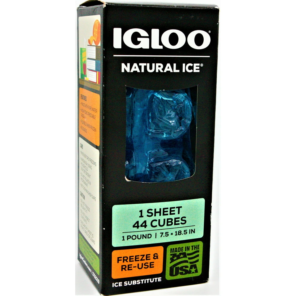 igloo ice sheet