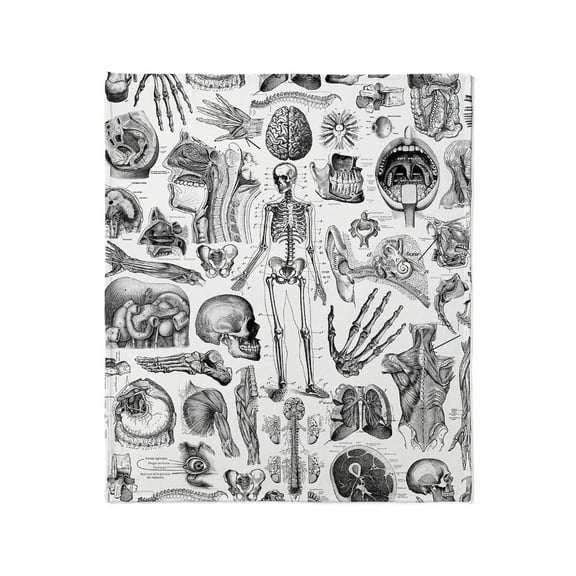 CafePress - Anatomy_W_Twin_Duvet Throw Blanket - Soft Fleece Throw Blanket, 50"x60" for All Ages