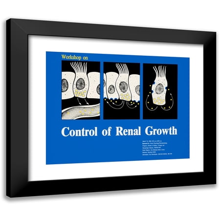National Institutes of Health 14x12 Black Modern Framed Museum Art Print Titled - Workshop on Control of Renal Growth (1988)