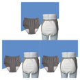 thumbnail image 4 of braveheart sous-Vêtements pour Hommes Respirants et Fiables Réutilisables pour Incontinence Culottes Lavables Pantalon 100CC Gris Clair LL 3Ensemble, 4 of 5