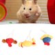 thumbnail image 1 of Lindo sombrero de animales pequeños cómoda correa ajustable suave elegante sombrero de hámster de 3 piezas para mascotas pequeñas ANGGREK Otros, 1 of 8