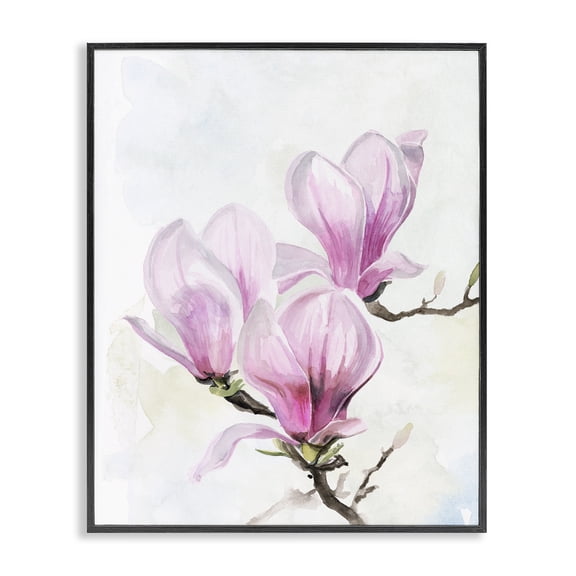 Stupell Industries French Country Soft Pink Magnolia Blossoms Watercolor Floral Black Framed Giclee Art, 11 x 14, by Jennifer Paxton Parker