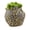 Gold, variant on 7829 Lightweight Resin Flower Pot Sunflower Shape Drainage For Succulents