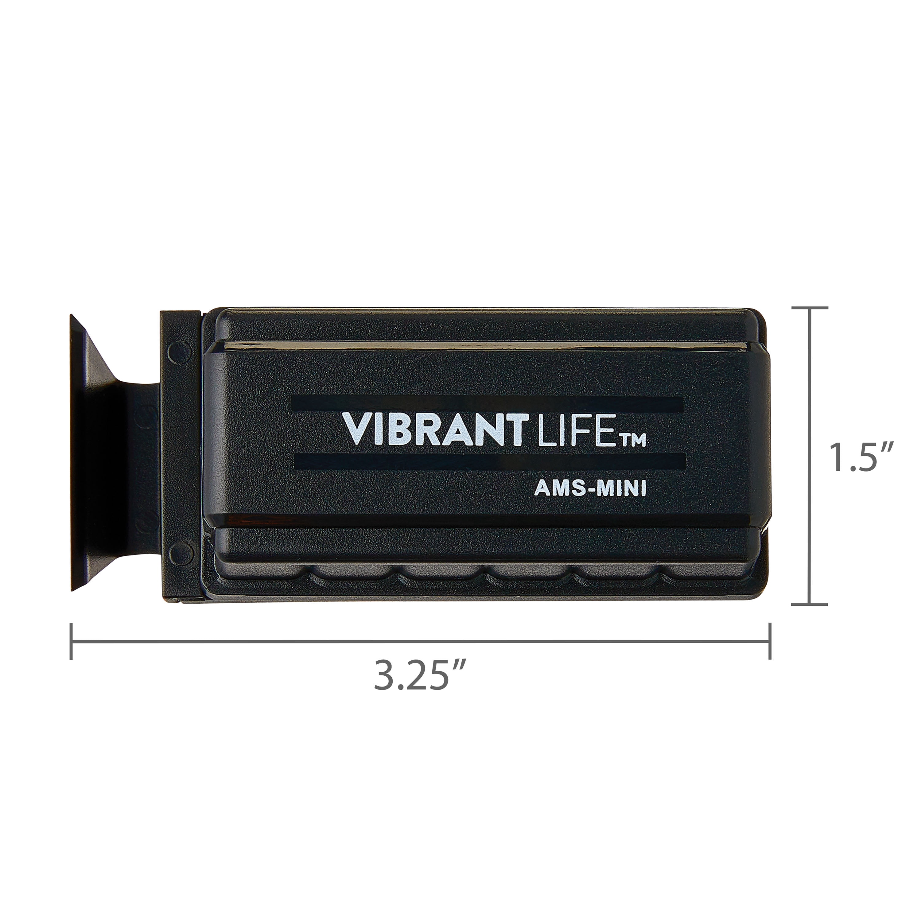 Vibrant Life Floating Magnetic Cleaner