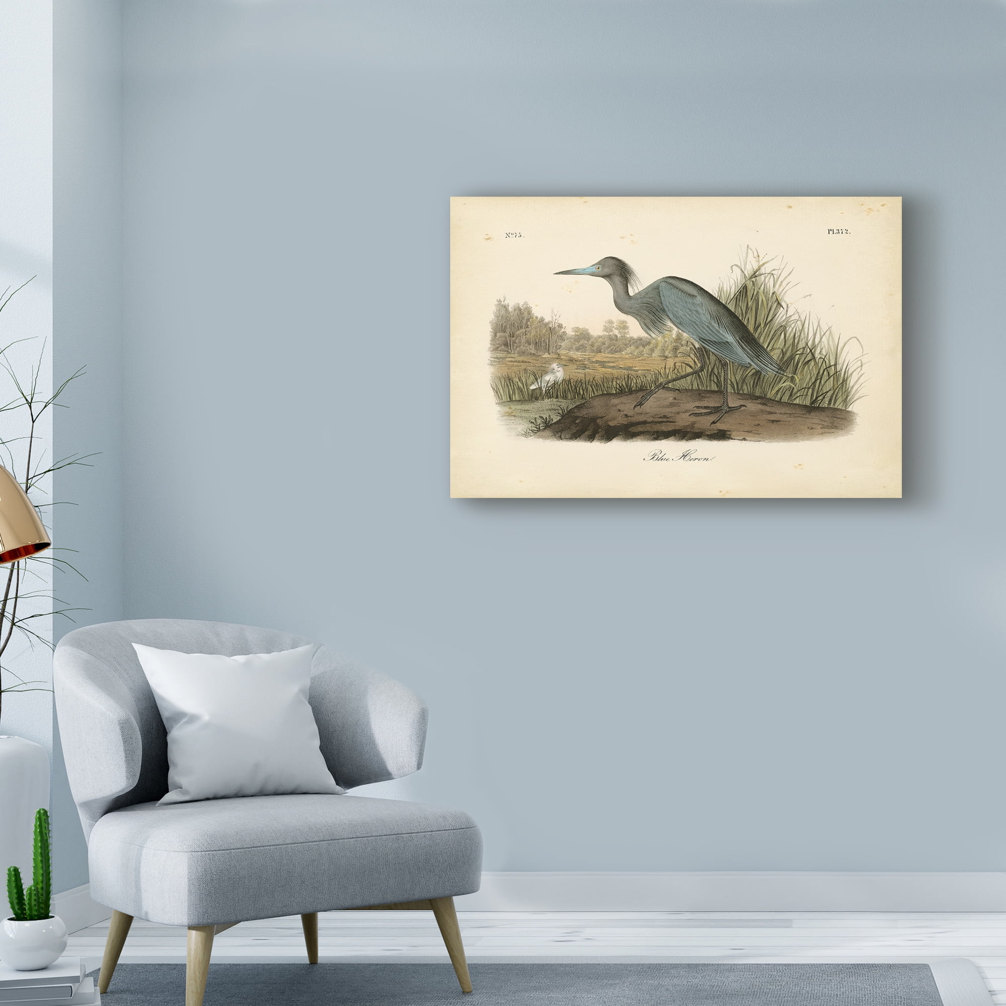 Trademark Fine Art 'Audubons Blue Heron' Canvas Art by John James Audubon