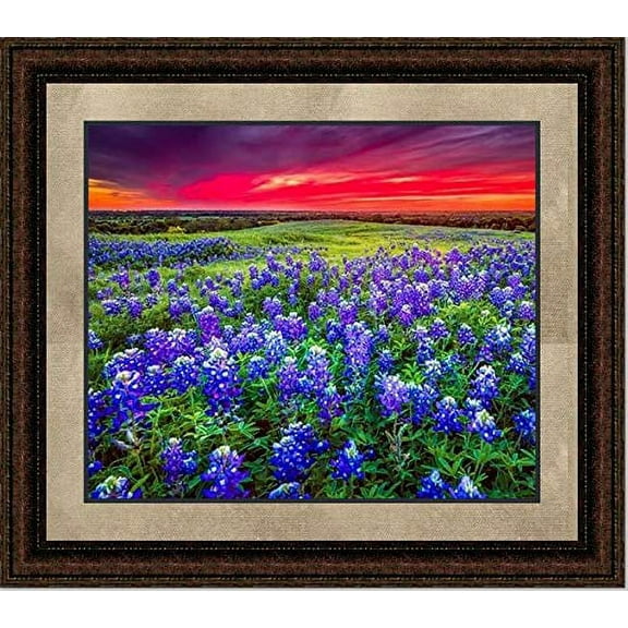Blue Bonnet Field V | Western Framed Floral Art in Double Mat | 16L X 19W" Inches