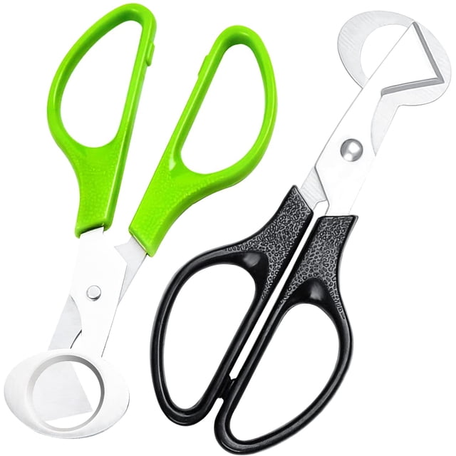 Tijeras para huevos de codorniz Tijeras para huevos de codorniz Abridor de huevos de codorniz de acero inoxidable Abridor de cáscara de huevo para el hogar, cocina, restaurante 2 piezas Sincero Electrónica