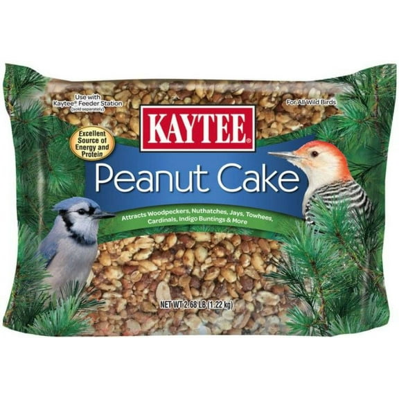Kaytee Wild Bird Energy Cake With Peanut 2.68 lbs