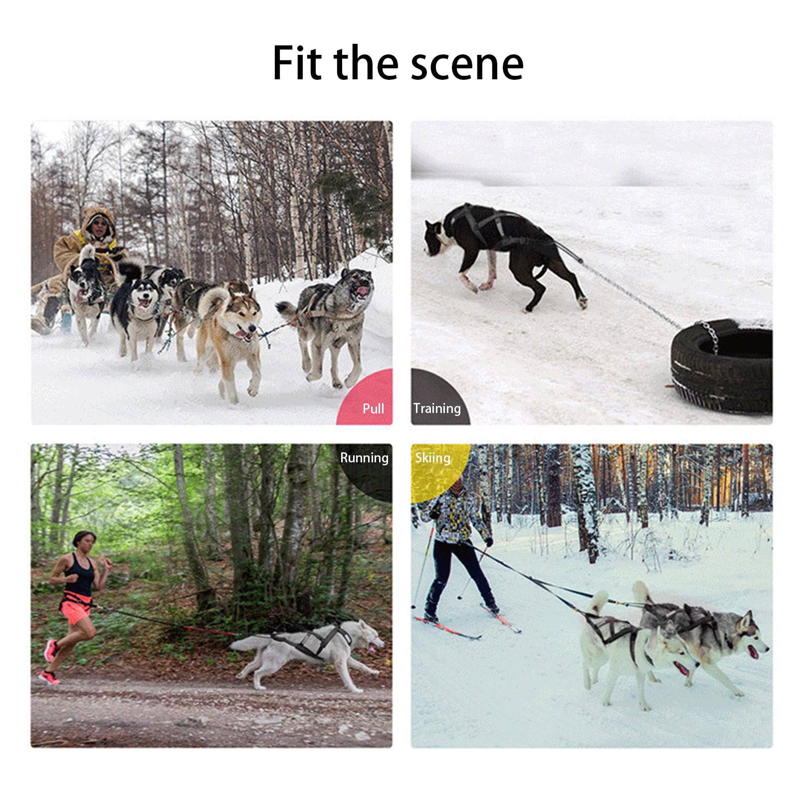 Ergonomic Dog Sledge Harness for Large Breeds Reflective Pet Sledding Skijoring Harness High Strength Chest Strap
