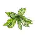 thumbnail image 2 of Ludlz Artificial Plants Leaves Faux Turtle Leaf Fake Tropical Large Palm Tree Leaves Imitation Leaf Artificial Plants for Home Kitchen Party Flowers Arrangement Wedding Decorations, 2 of 8