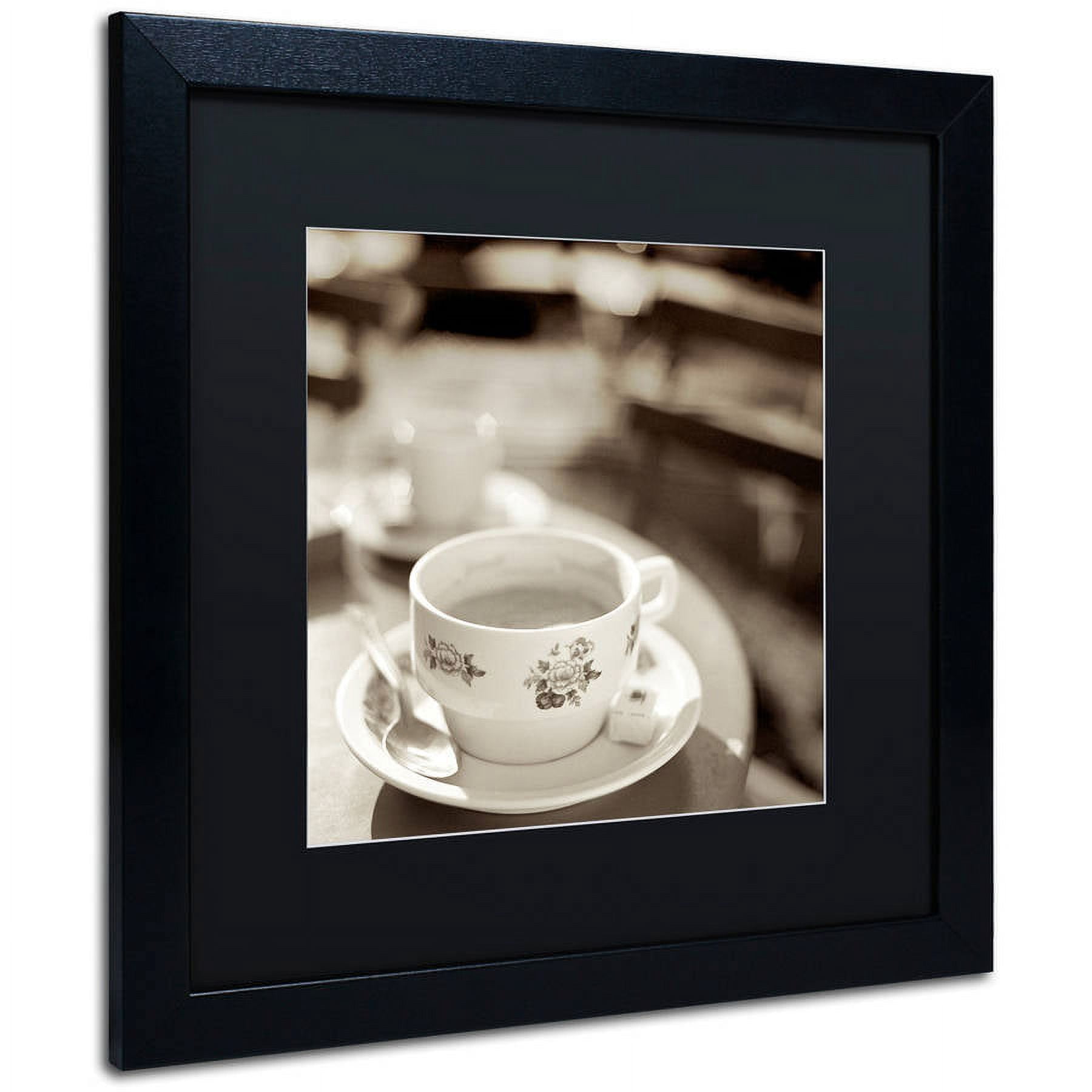 Trademark Fine Art "Jardin du Luxembourg II" Canvas Art by Alan Blaustein, Black Matte, Black Frame