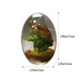 thumbnail image 2 of Resina De Cristal De Huevo De Dragón Transparente, Recuerdo Ornamental, Artesanía De Resina, Adornos De Escritorio Para El Hogar, Regalo Exquisito Speravity HA041332-06, 2 of 6