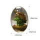 thumbnail image 2 of Resina De Cristal De Huevo De Dragón Transparente, Recuerdo Ornamental, Artesanía De Resina, Adornos De Escritorio Para El Hogar, Regalo Exquisito Speravity HA041332-06, 2 of 6