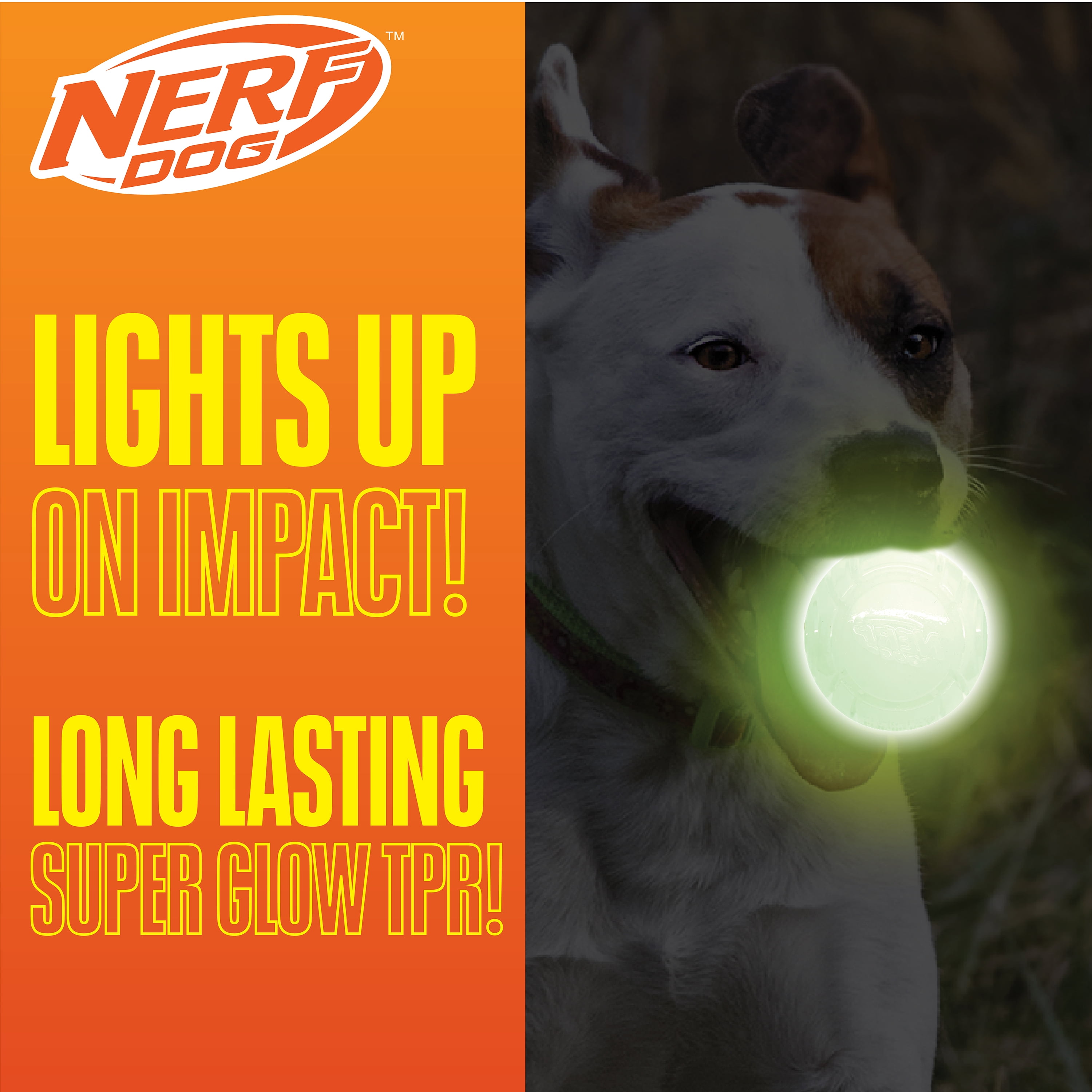 (4 pack) Nerf Dog Light Up & Glow Ball