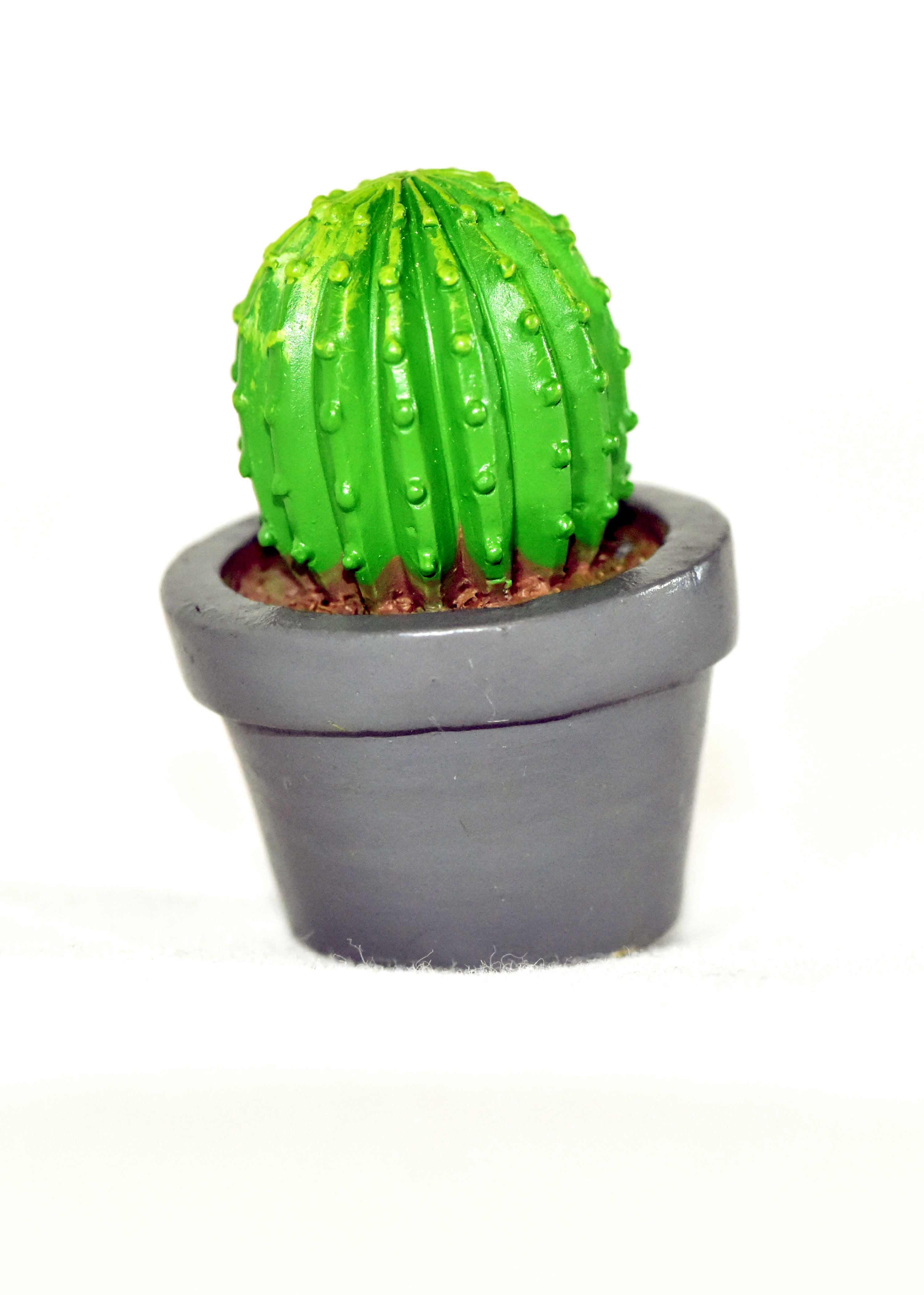 4-Pieces Mini Gardenn Fairy Garden Miniature Succulent Plants Set
