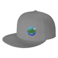thumbnail image 1 of DouZhe Flat Brim Cap Snapback Hat, Cartoon Fishing Frog Prints Adjustable Gray Adult Baseball Cap, 1 of 6