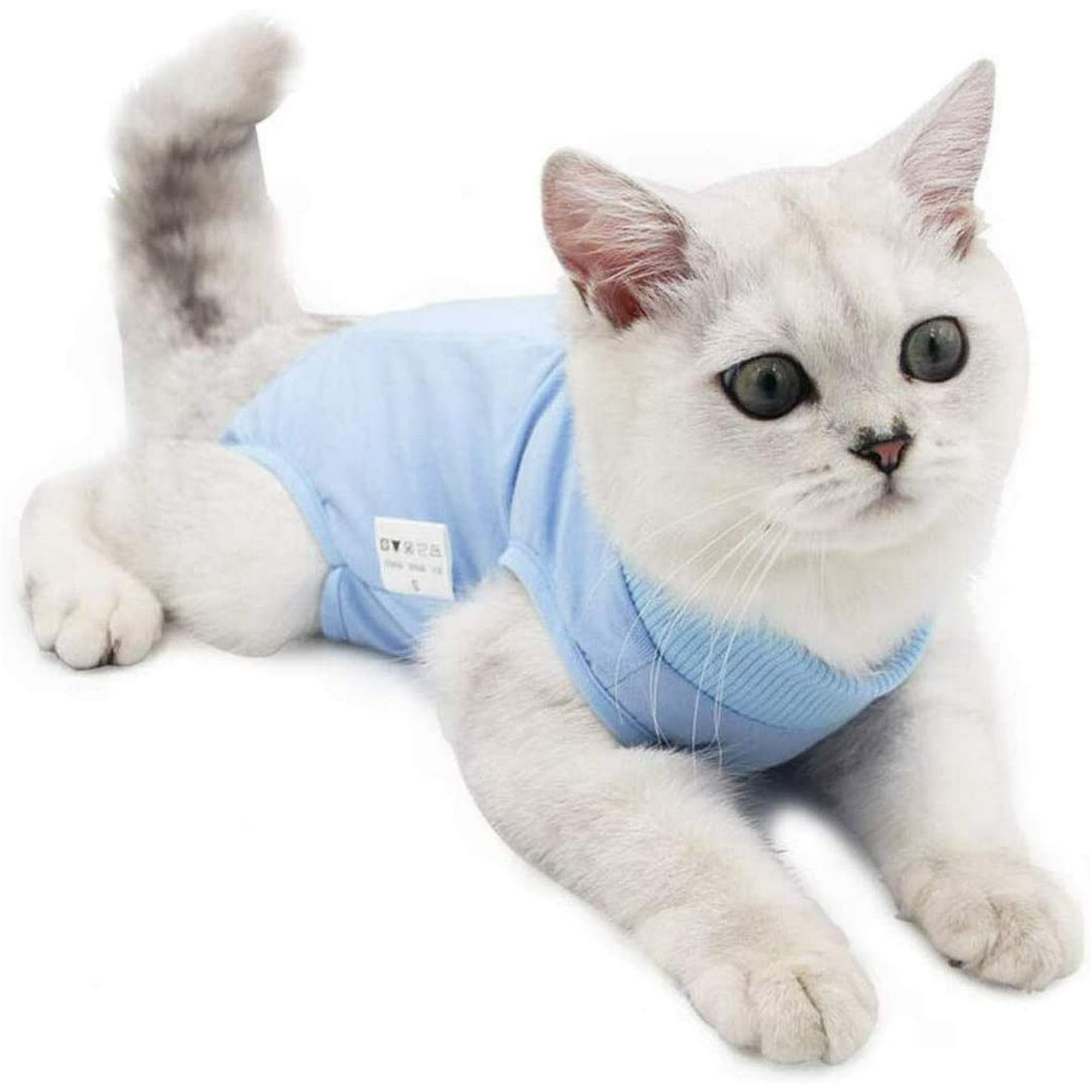 Gilet medical pour chat hotsell