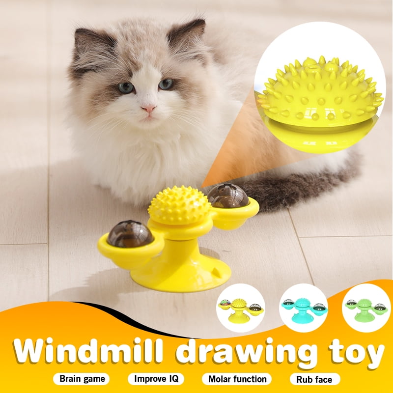 interactive cat toys with timers