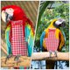 thumbnail image 4 of FENGGUIQU Ropa Para Pájaros En Tela Roja Cómoda Y Resistentes Ideal Para Vuelo Y Protección, 4 of 6