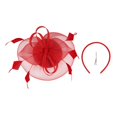 thumbnail image 6 of VISALY fascinators hats for women Fascinators Hats for Women Tea Party | Teal Fascinators Hats Fastener Hats Tea Party Bridal Net Hair Accessories Fascinators Hats White Fascinators Hats XXL, 6 of 8