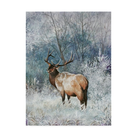 Trademark Fine Art 'Frosty Morning Elk' Canvas Art by Carol J Rupp