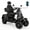 Black HS4W-E4B, variant on Nyddle Heavy Duty 4 Wheel Mobility Scooter for Seniors & Adults,1000W All Terrain Fast Electric Mobility Scooter,15MPH Speed,500 LBS Weight Capacity,Black
