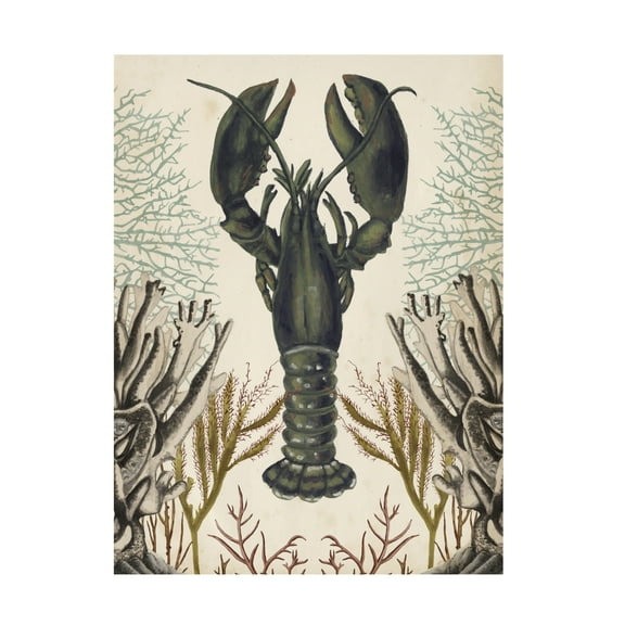 Naomi McCavitt 'Antiquarian Menagerie Lobster' Canvas Art