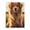 500 Pieces, variant on 1000-Piece Wooden Jigsaw Puzzle for Adults & Families - Dog Fur Field Sunlight , Fun & Educational Brain-Teasing Game, Artistic Home Decor