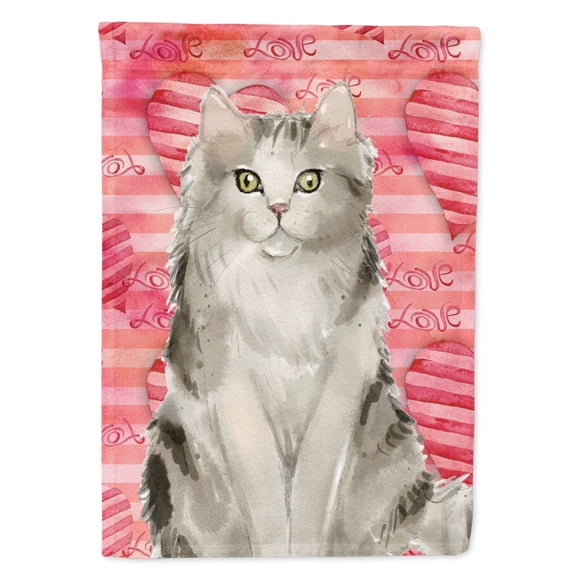 Carolines Treasures CK3051CHF Ragamuffin Cat Love Flag Canvas House Size  Large multicolor