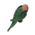 thumbnail image 4 of 20 tipos de adornos de escritorio de loro de resina natural, modelo de pájaro, adornos de juguete 31cm Mirada Derecha Verde, 4 of 9